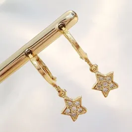 Brinco Argolinha Estrela Cravejada