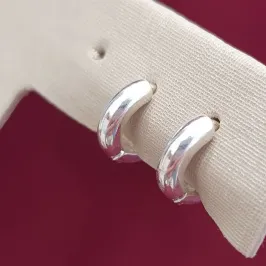 Brinco Argolinha Lisa P