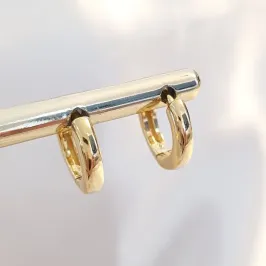 Brinco Argolinha Lisa P