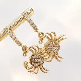 Brinco Argolinha Siri Cravejado