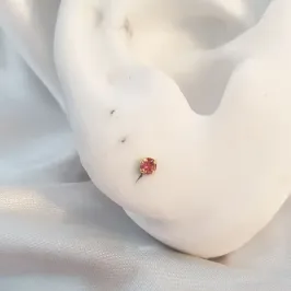 Brinco Ponto de Luz 10 (Rosa)