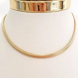 Colar Lacraia 30cm (+10)