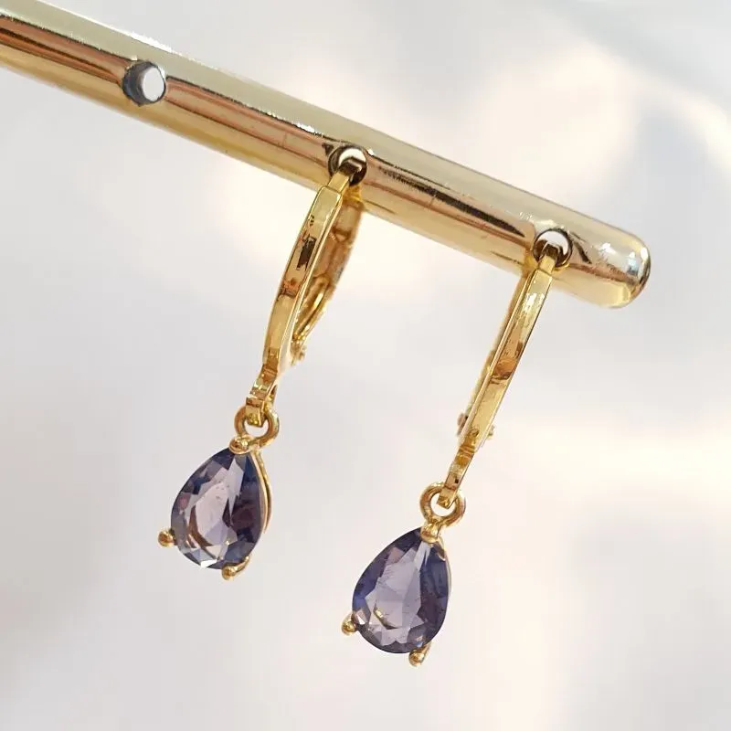 Brinco Argolinha Gota Roxa