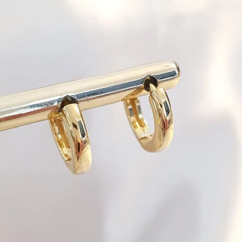 Brinco Argolinha Lisa P