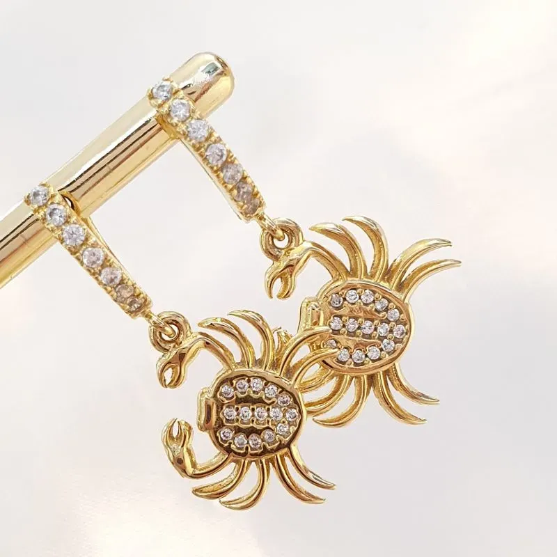 Brinco Argolinha Siri Cravejado