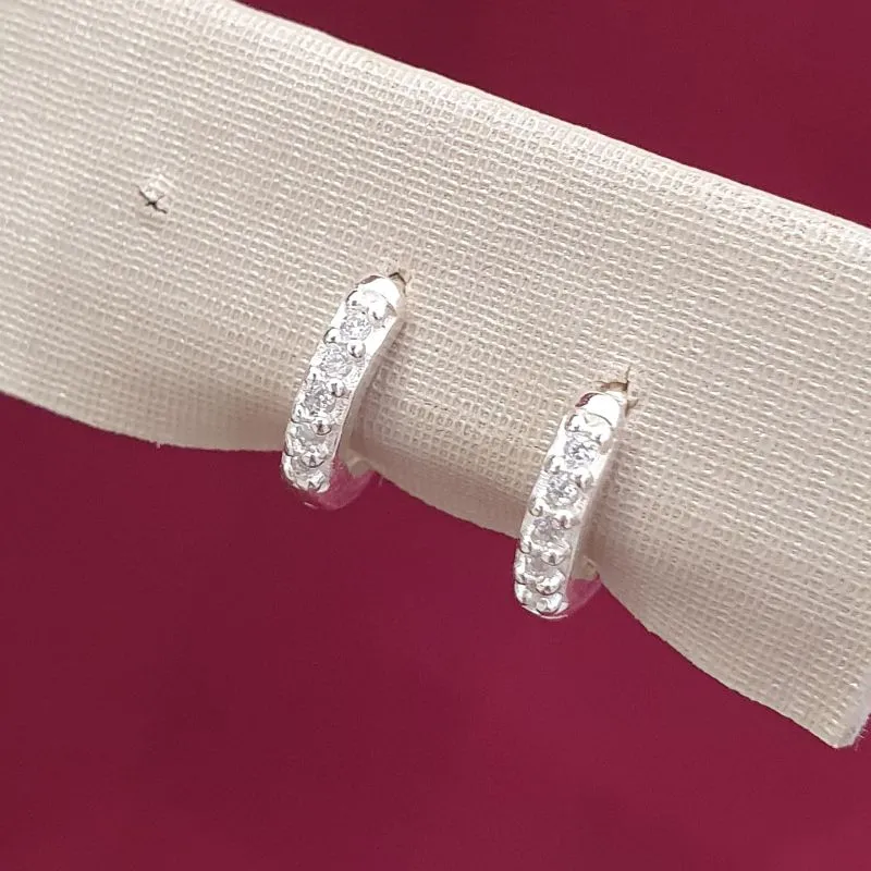 Brinco Argolinha Cravejada P