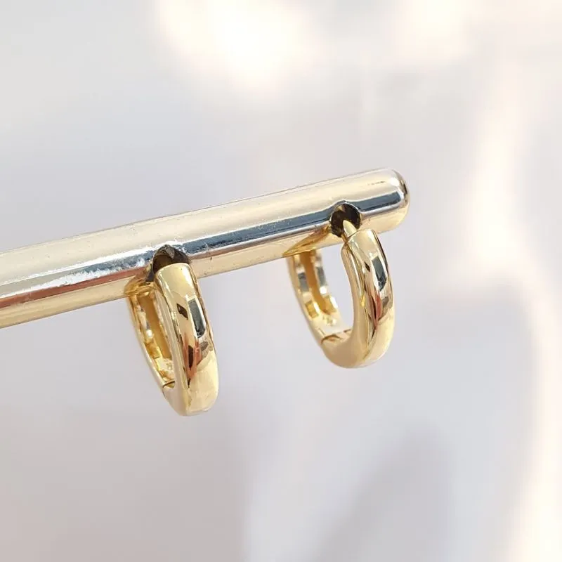 Brinco Argolinha Lisa P