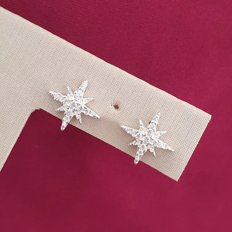 Brinco Estrela Cravejada