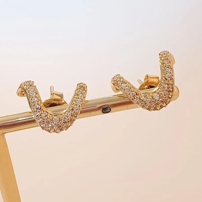 Brinco Onda Gancho Cravejado