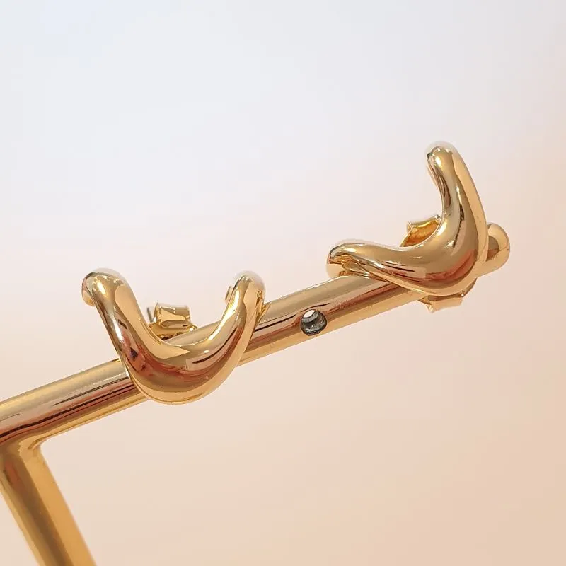 Brinco Onda Gancho Liso